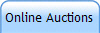 Online Auctions